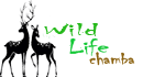 wildlifechamba.com